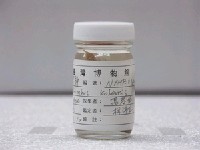 藏品(高本纓鮃)的圖片